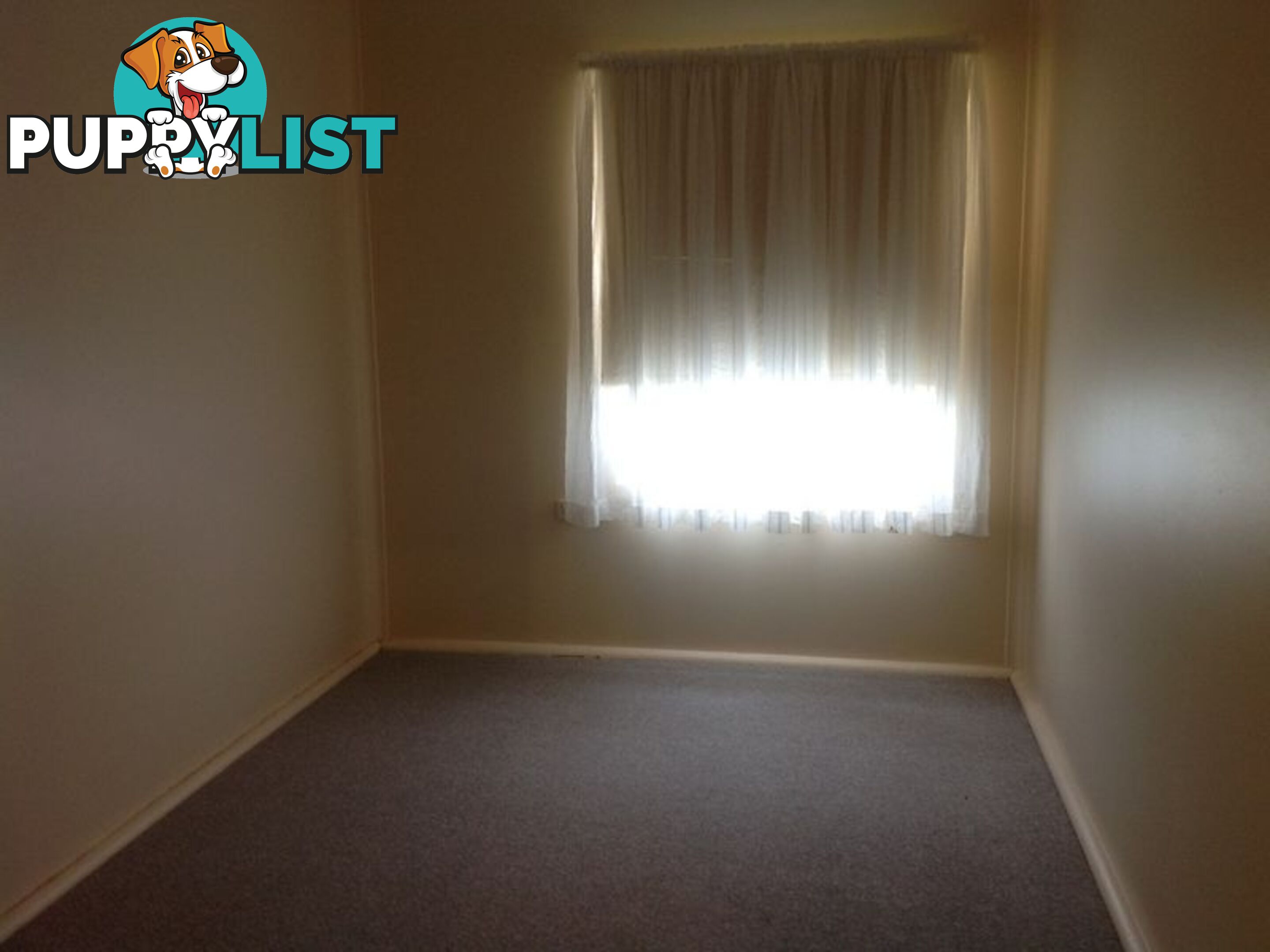 54 Aleppo Street LOXTON SA 5333