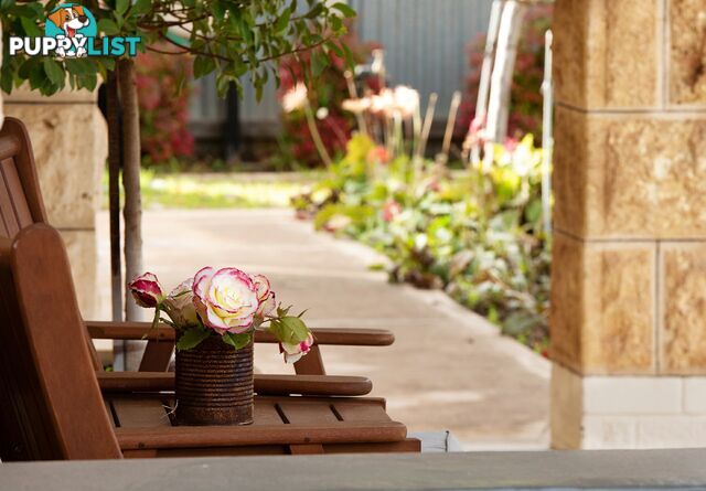 15 Drogemuller Road COBDOGLA SA 5346