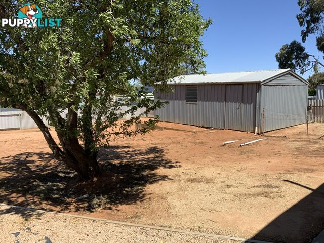 16 Loader Street BERRI SA 5343