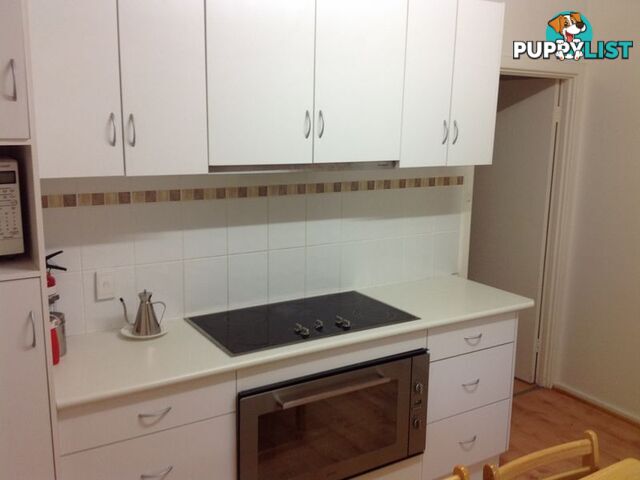 8 Zante Road BERRI SA 5343