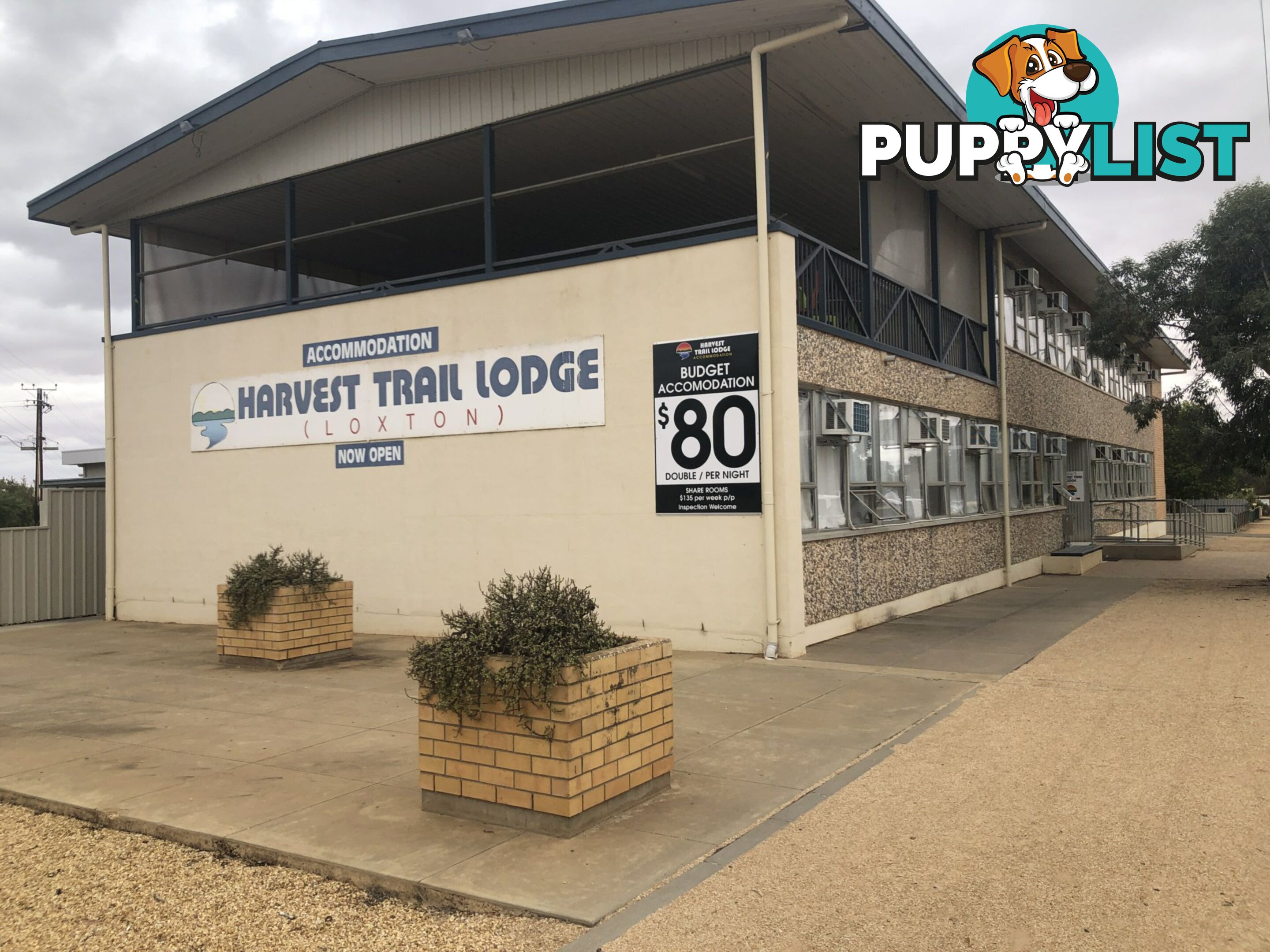 1 Kokoda Terrace LOXTON SA 5333