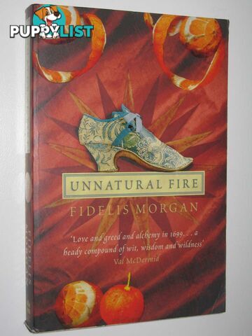 Unnatural Fire - Countess Ashby de la Zouche Mystery  - Morgan Fidelis - 2001