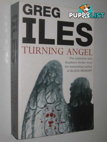 Turning Angel  - Iles Greg - 2006