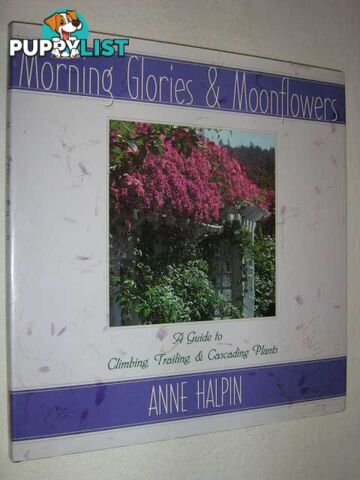 Morning Glories and Moonflowers : A Guide to Climbing, Trailing, and Cascading Plants  - Halpin Anne & Halpin, Anne Moyer - 1996