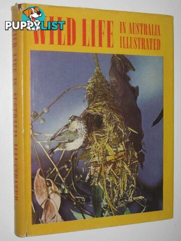 Wild Life In Australia Illustrated  - Barrett Charles - No date