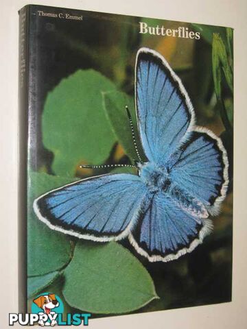 Butterflies : Their World, Their Life Cycle, Their Behaviour  - Emmel Thomas C. - 1976