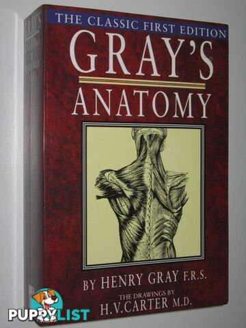 Gray's Anatomy  - Gray Henry - 2003