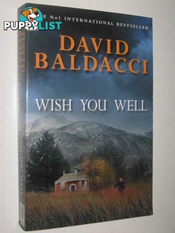 Wish You Well  - Baldacci David - 2001