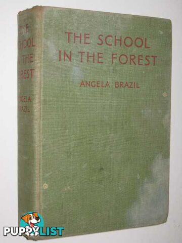 The School in the Forest  - Brazil Angela