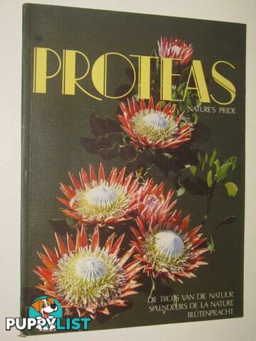 Proteas, Nature's Pride  - Herbarium Compton - No date