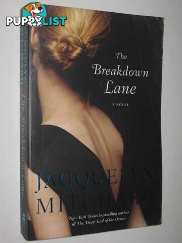 The Breakdown Lane  - Mitchard Jacquelyn - 2005