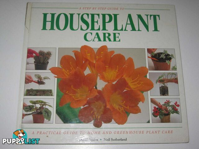 A Step By -Step Guide To Houseplant Care  - Squire David - 1993