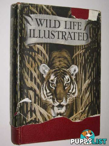 Wild Life Illustrated  - Various Authors