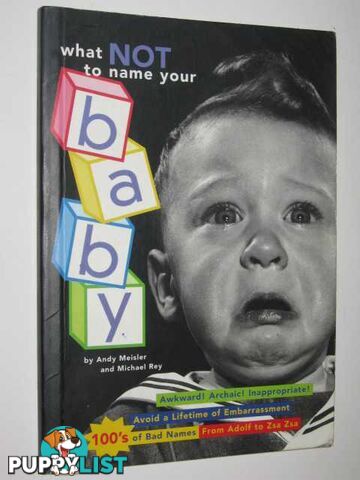 What Not To Name Your Baby  - Meisler Andy & Rey, Michael - 1996