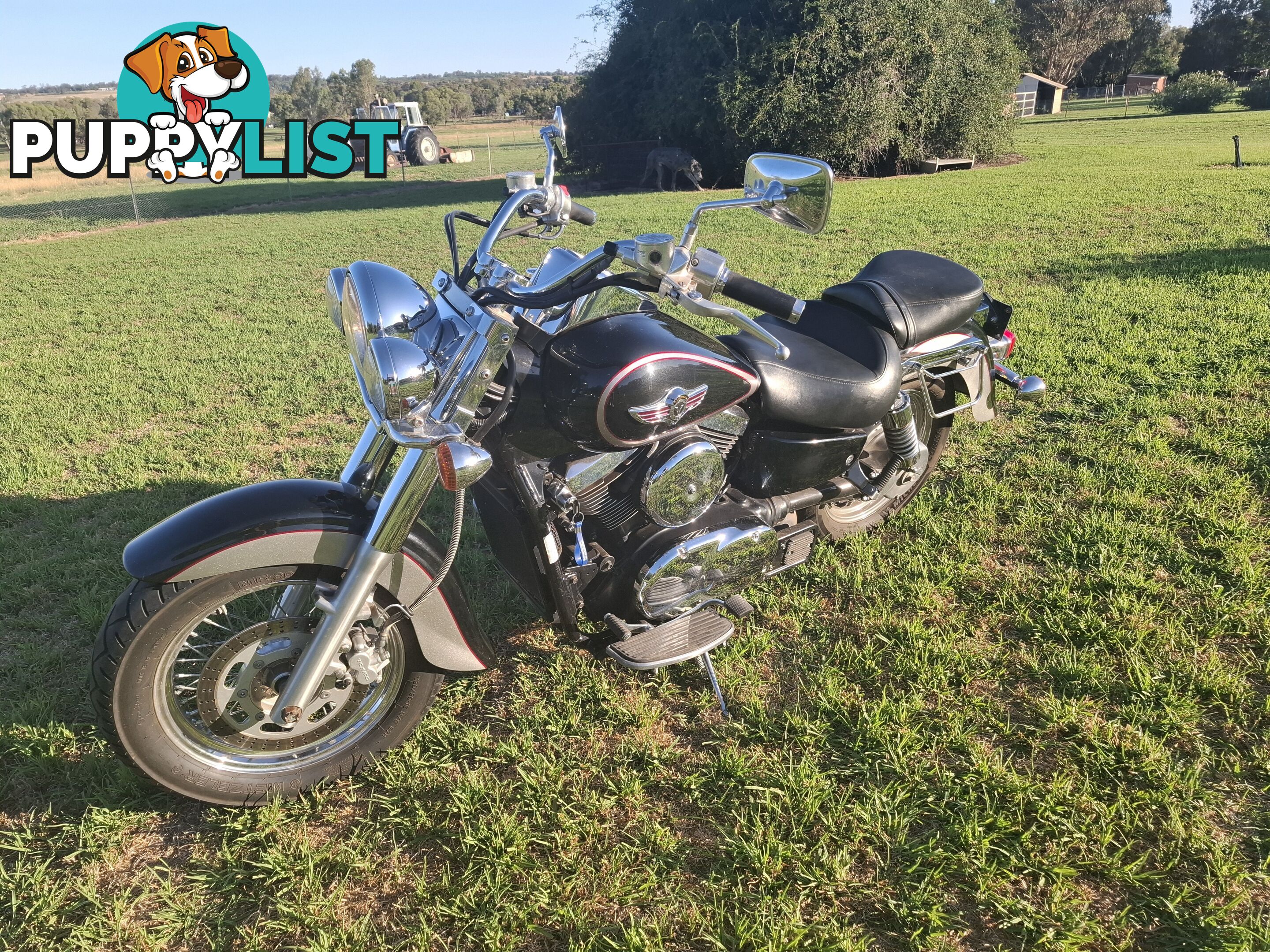 2001 Kawasaki Vulcan 1500 Classic (VN1500) cruiser road