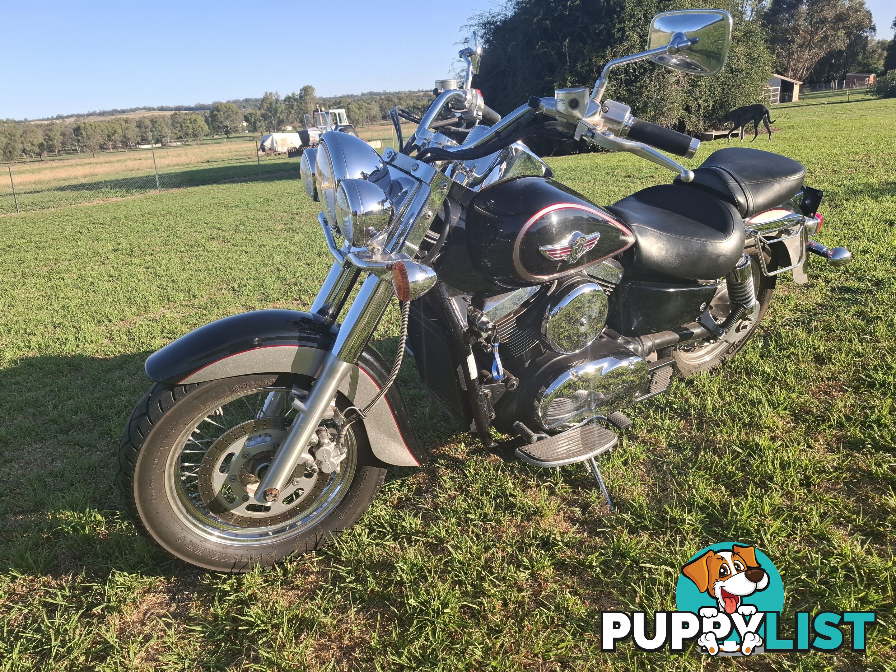 2001 Kawasaki Vulcan 1500 Classic (VN1500) cruiser road