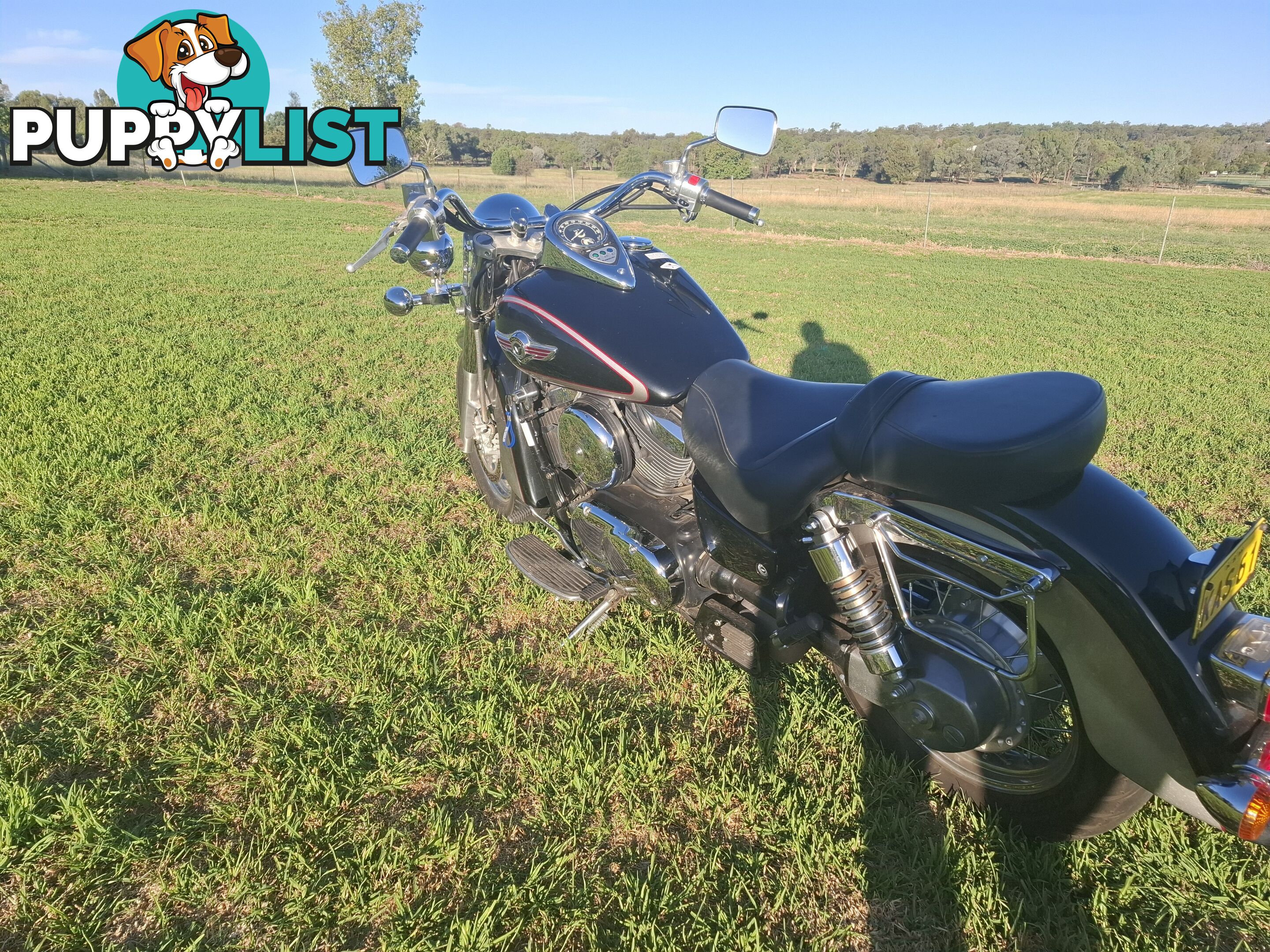 2001 Kawasaki Vulcan 1500 Classic (VN1500) cruiser road
