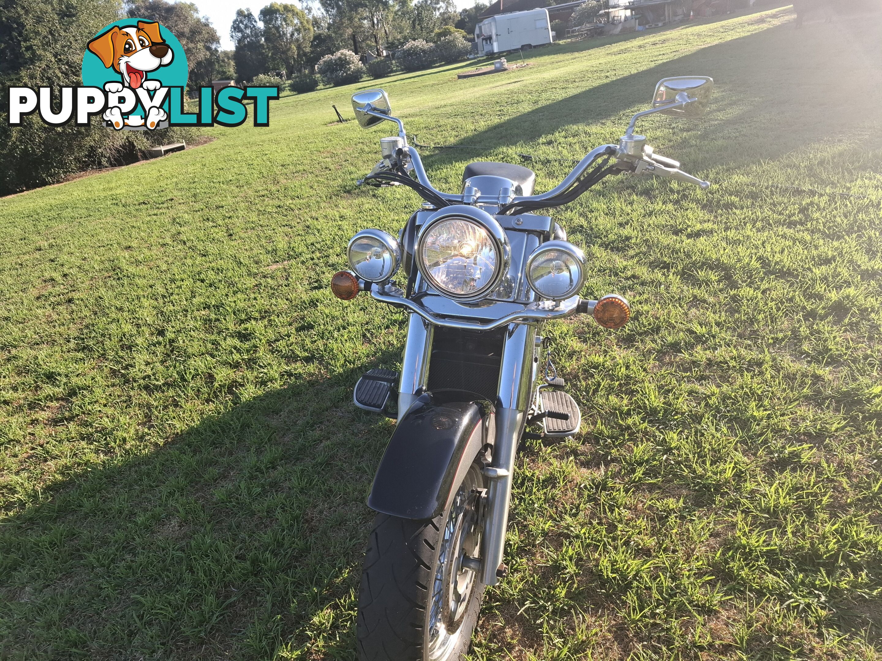 2001 Kawasaki Vulcan 1500 Classic (VN1500) cruiser road