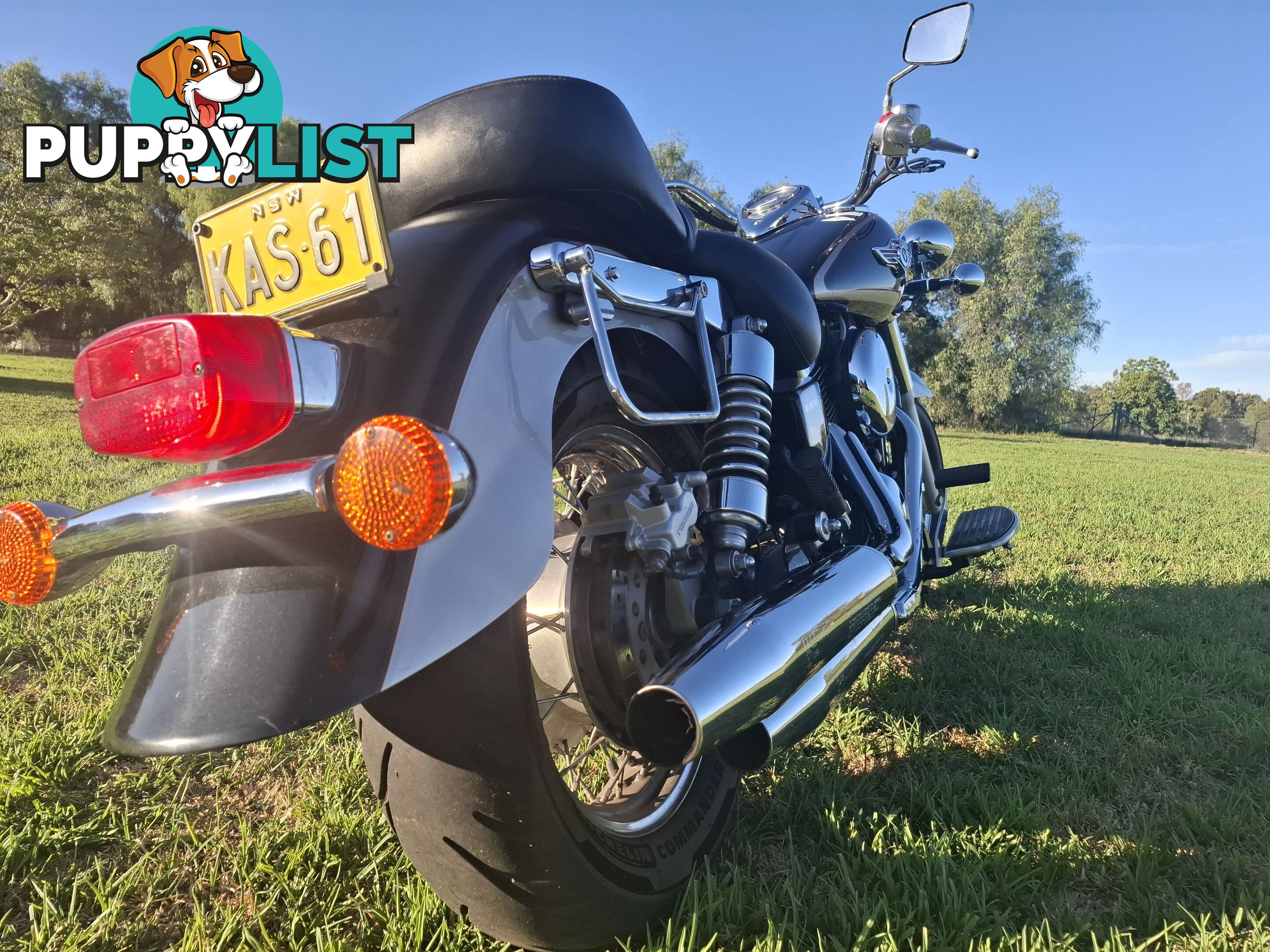 2001 Kawasaki Vulcan 1500 Classic (VN1500) cruiser road