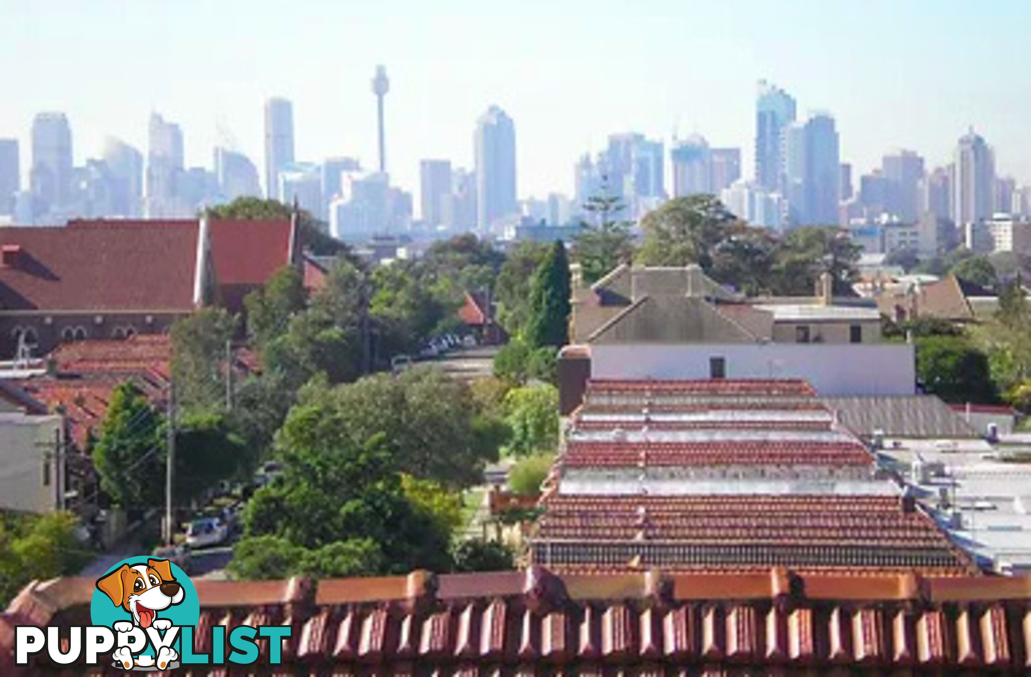 Roofing Repair & Restoration, The Entrance North, NSW