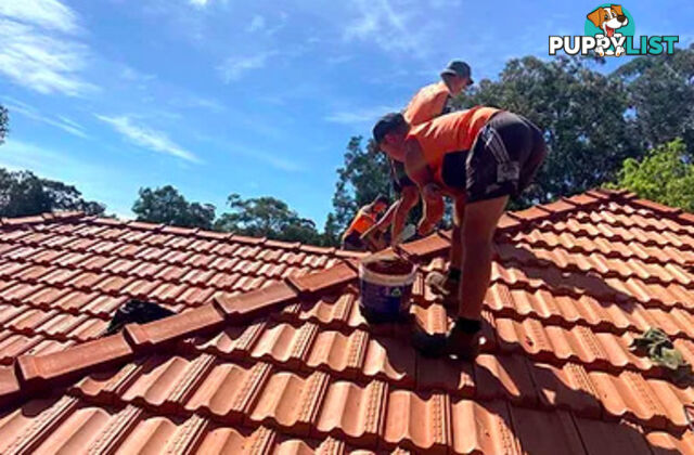 Roofing Repair & Restoration, The Entrance North, NSW