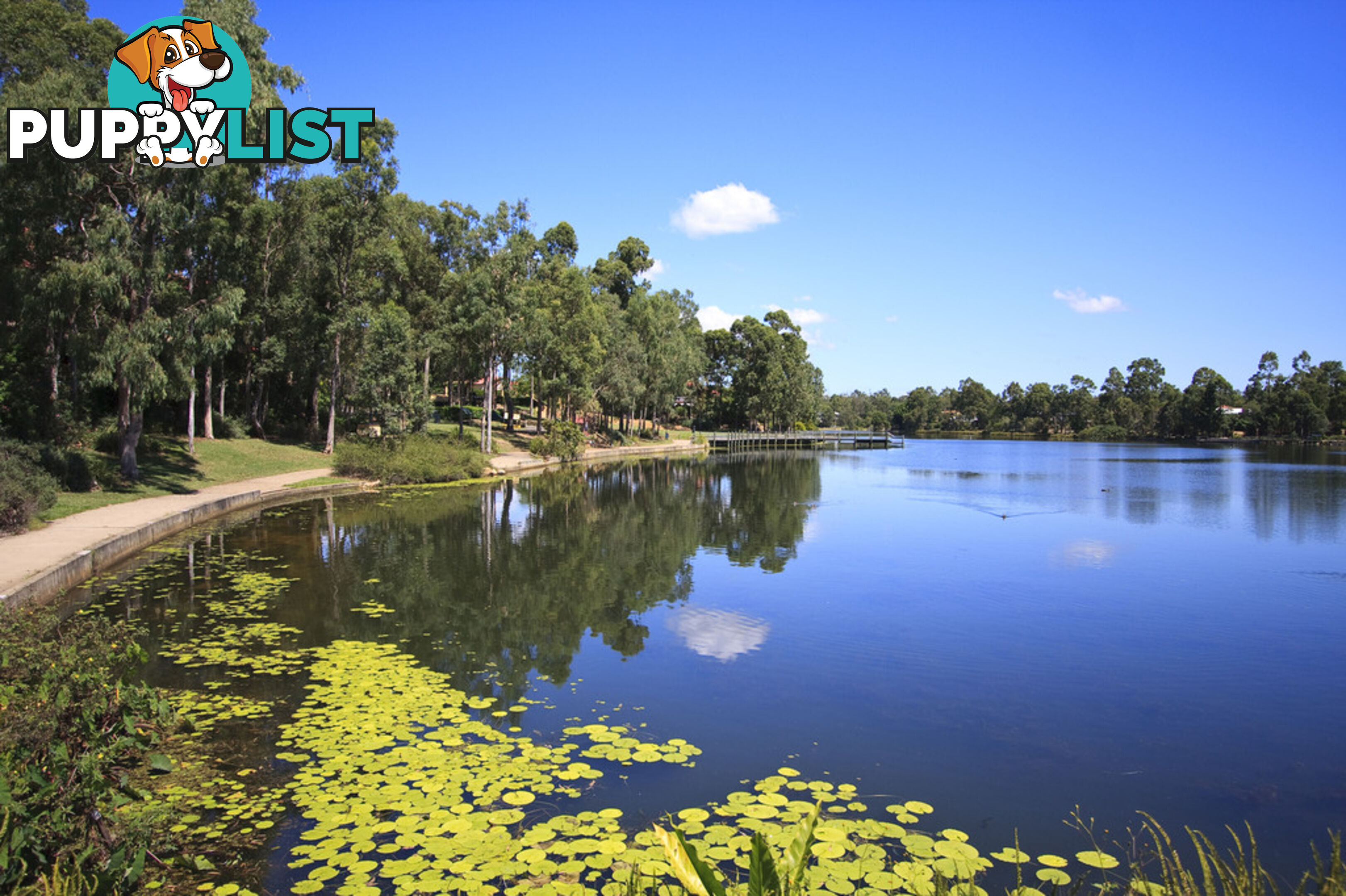 29 Montego Way FOREST LAKE QLD 4078