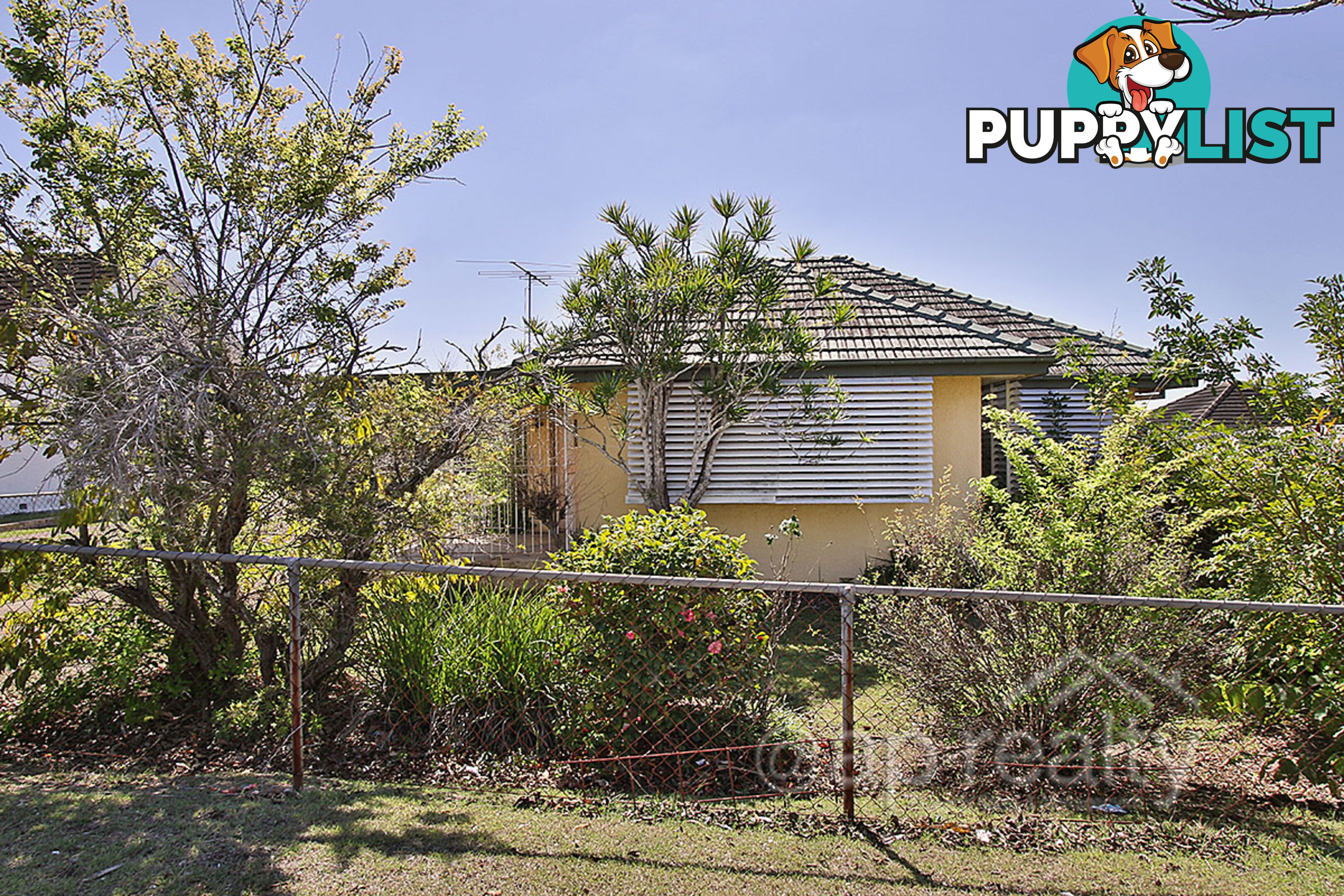 112 Frangipani Street INALA QLD 4077