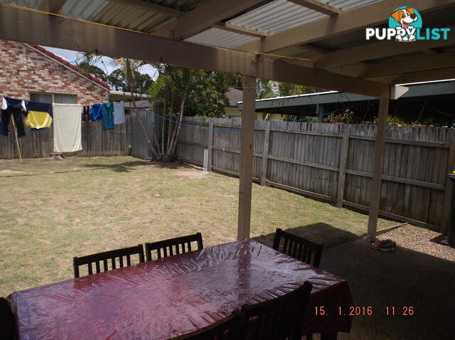 7 Medici Place FOREST LAKE QLD 4078