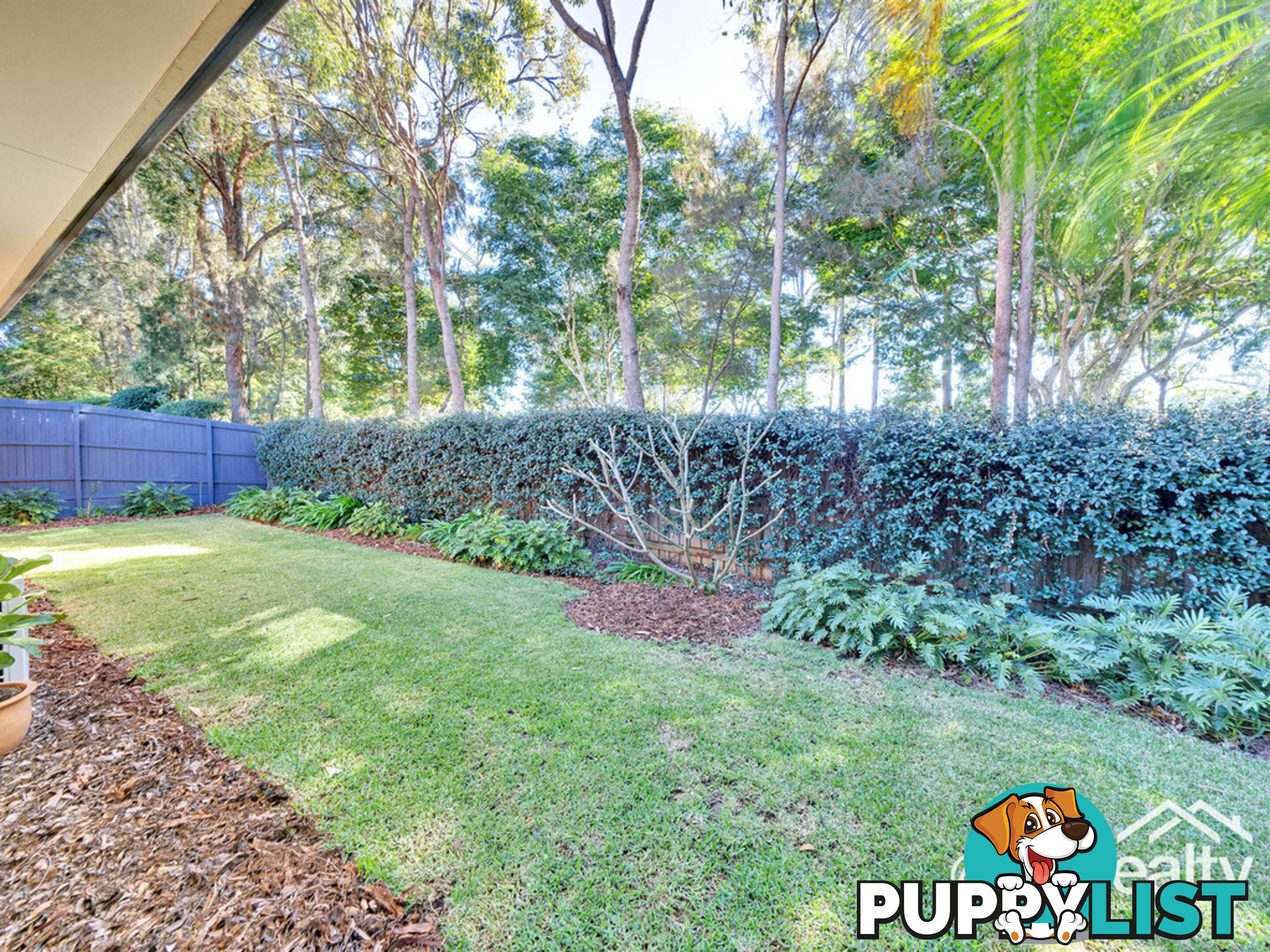 37 Prospect Crescent FOREST LAKE QLD 4078