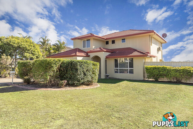 17 Anna Drive RACEVIEW QLD 4305