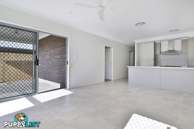 15 Zenith Place PALLARA QLD 4110