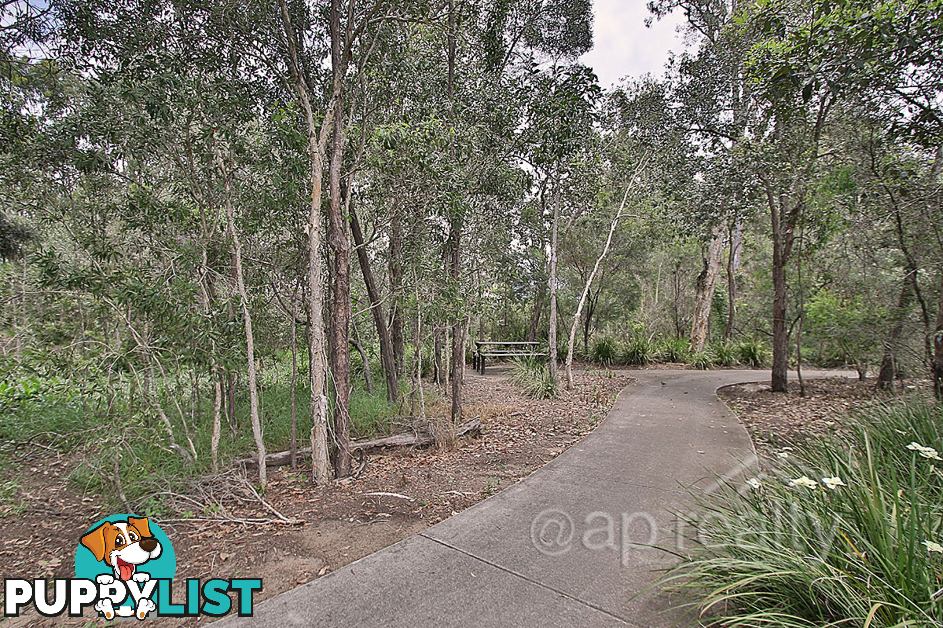 14 Uluru Place FOREST LAKE QLD 4078