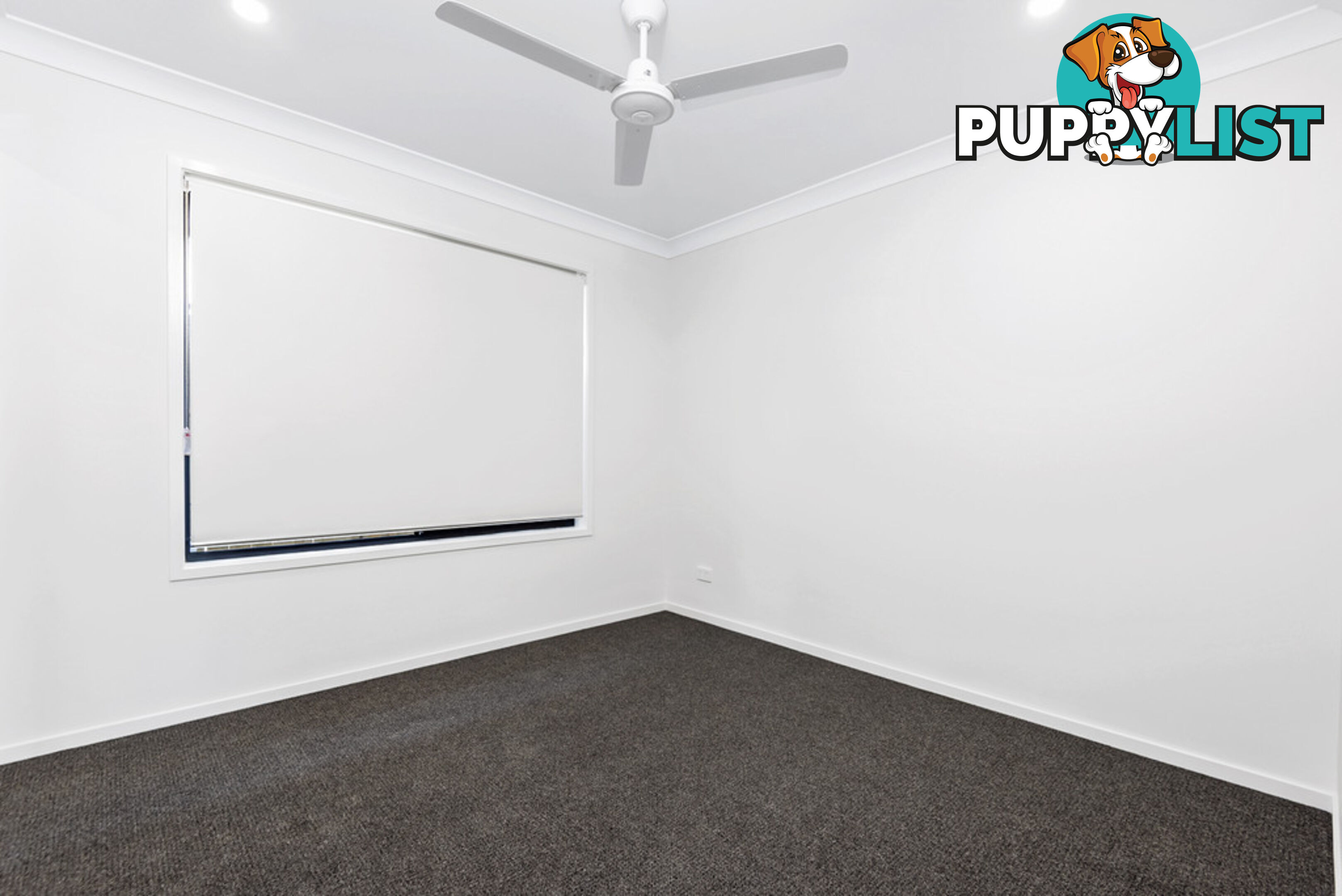 1 Kokuso Street DOOLANDELLA QLD 4077