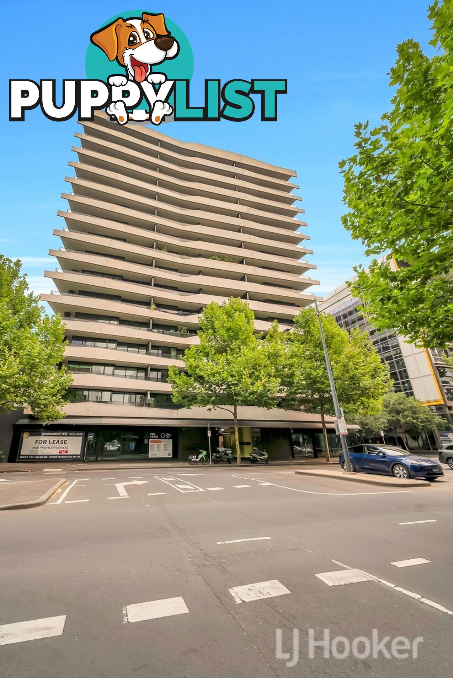 206/815 Bourke Street DOCKLANDS VIC 3008