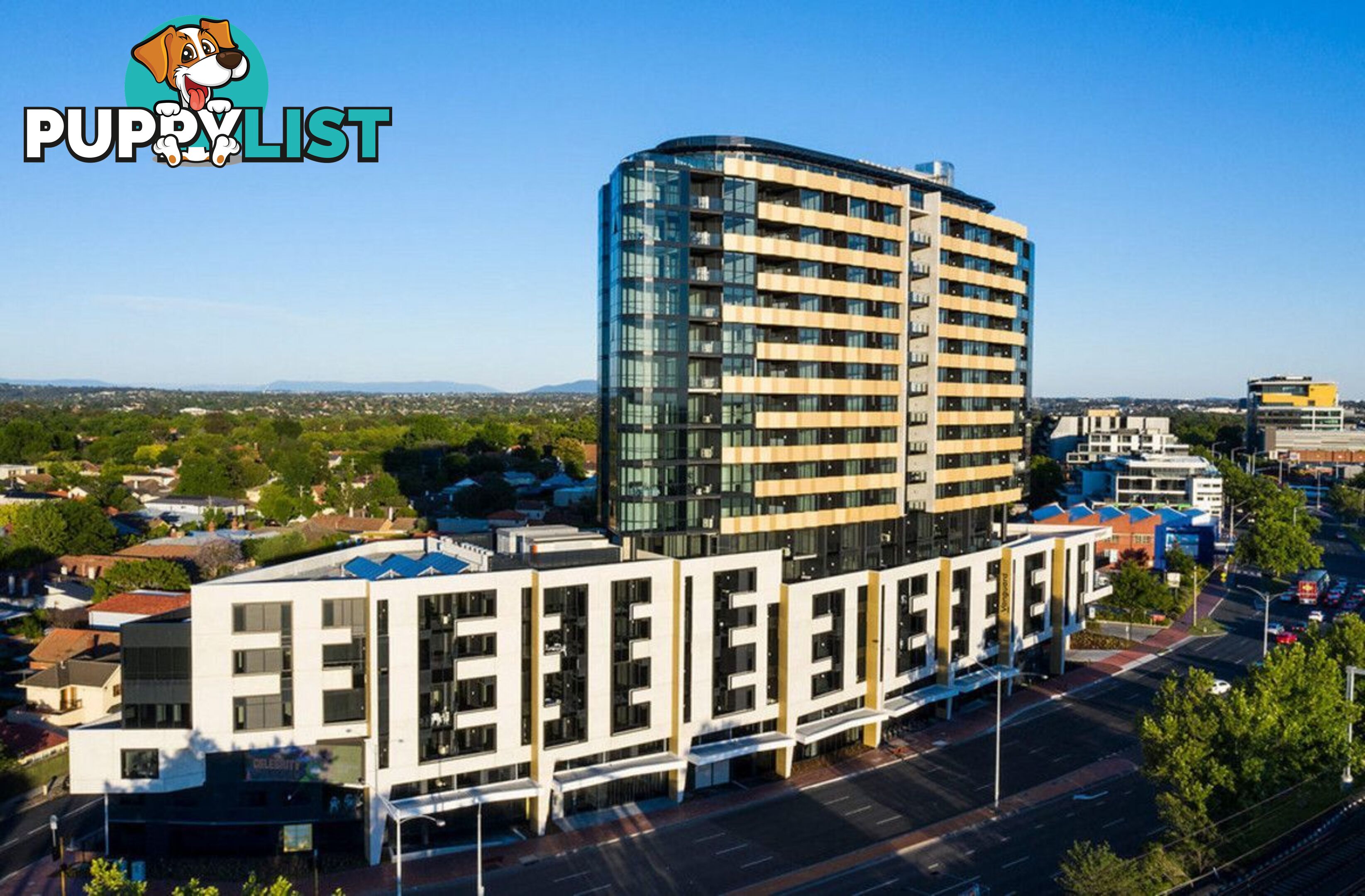 808/803 Dandenong Road MALVERN EAST VIC 3145