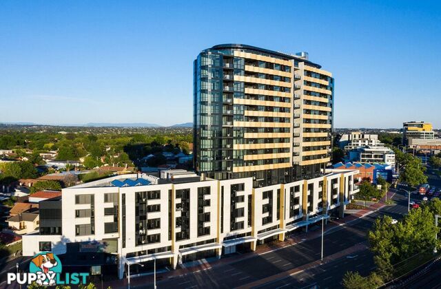 808/803 Dandenong Road MALVERN EAST VIC 3145