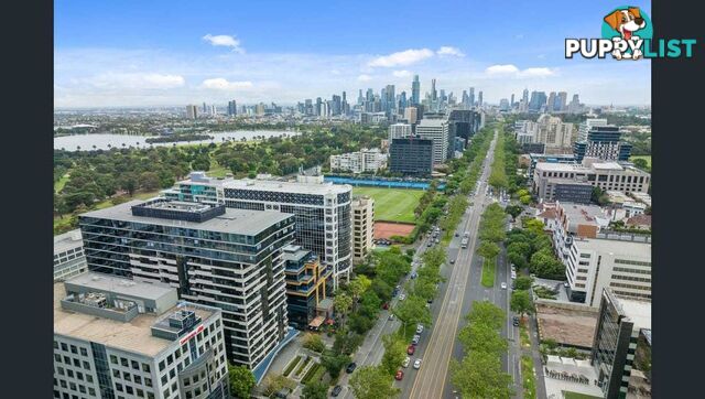 1116/555-563 St Kilda Road MELBOURNE VIC 3004