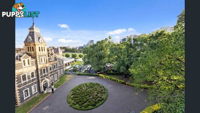 1116/555-563 St Kilda Road MELBOURNE VIC 3004