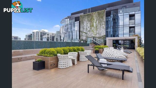 1116/555-563 St Kilda Road MELBOURNE VIC 3004