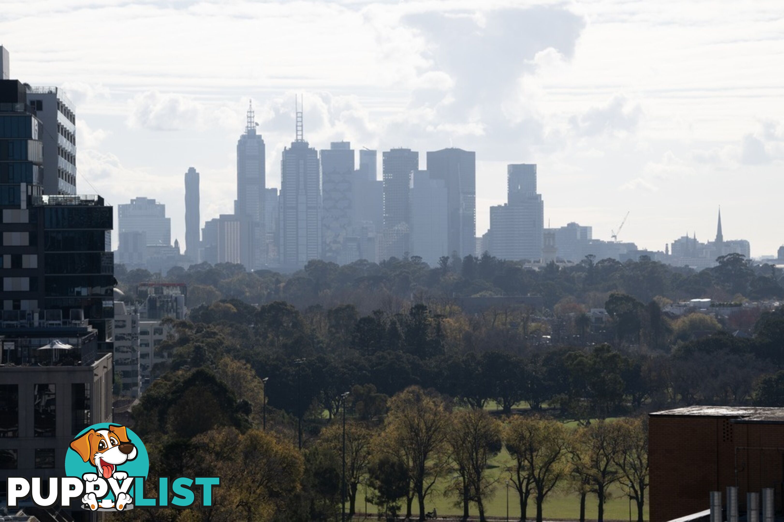 1116/555-563 St Kilda Road MELBOURNE VIC 3004
