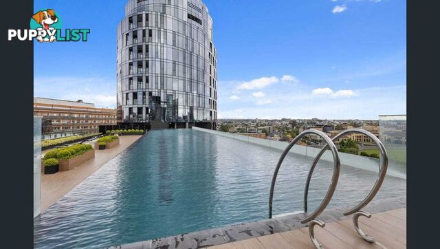 1116/555-563 St Kilda Road MELBOURNE VIC 3004