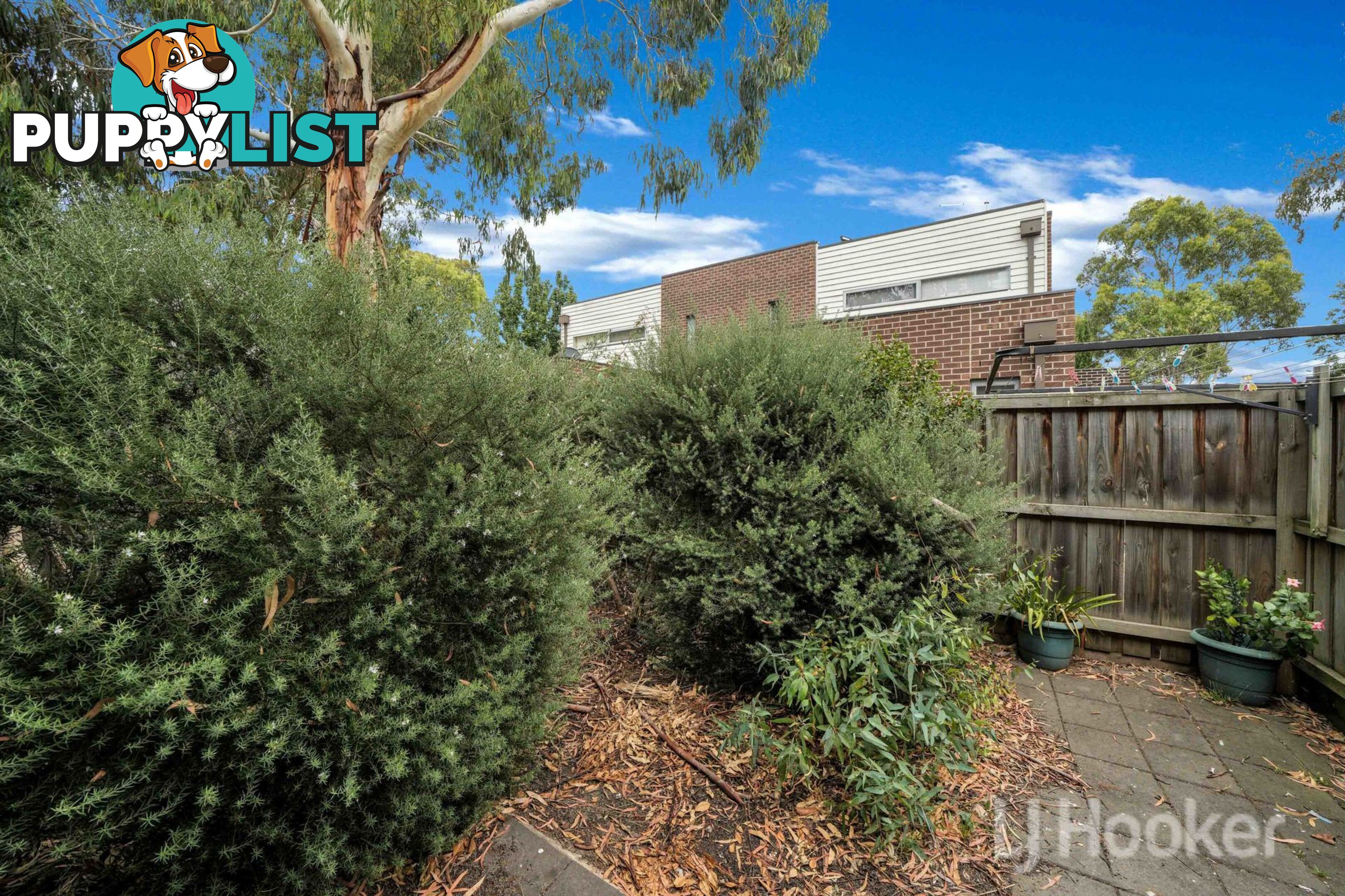 12 Eaglehawk Drive MERNDA VIC 3754