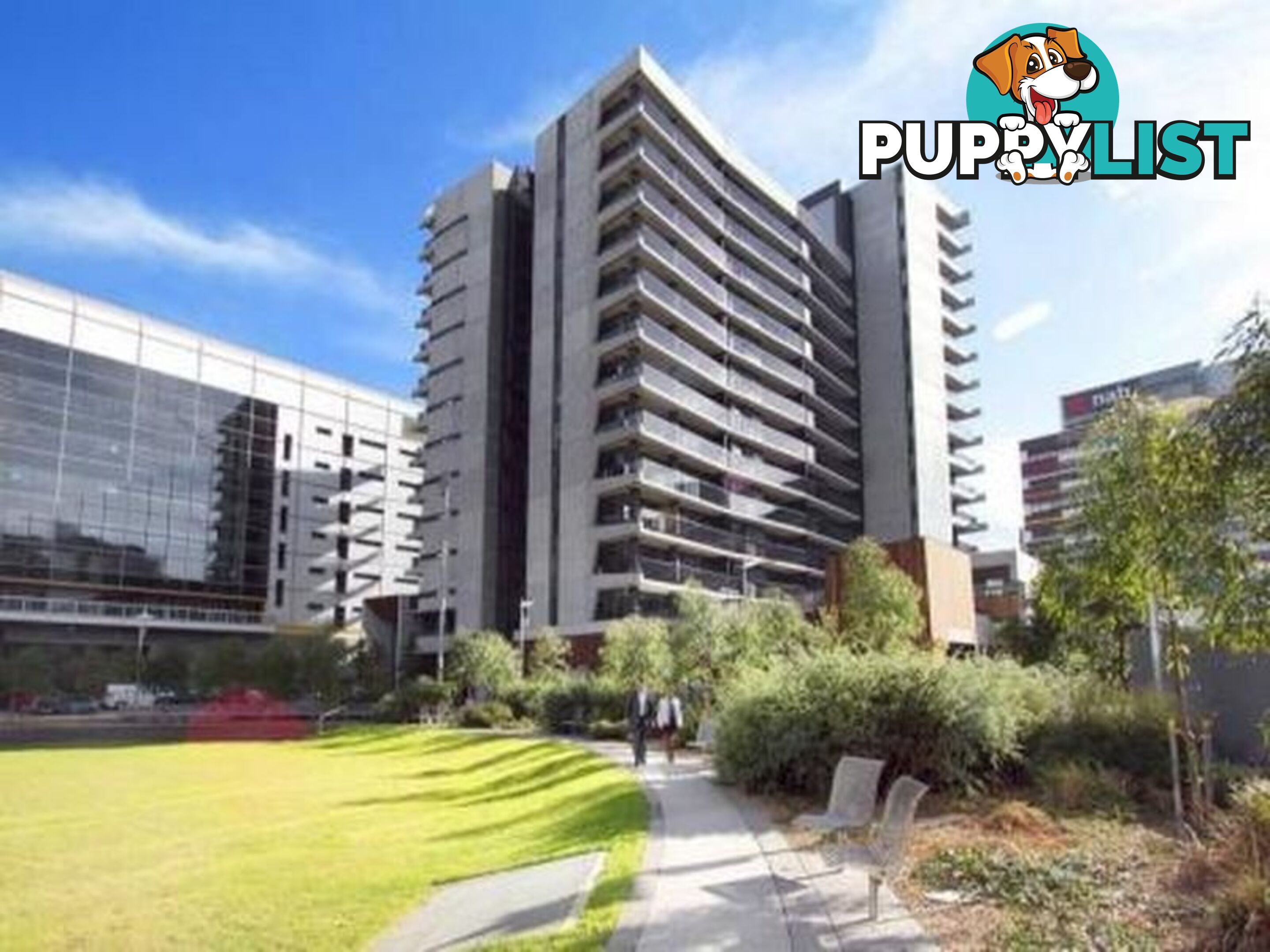 206/815 Bourke Street DOCKLANDS VIC 3008