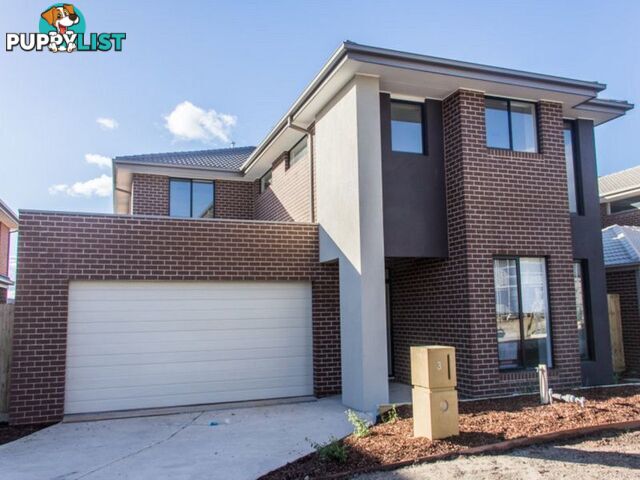 3 Pollen Place NARRE WARREN VIC 3805