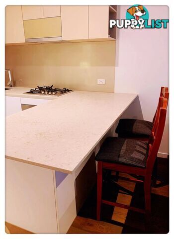 1204/38 Rose Lane MELBOURNE VIC 3000