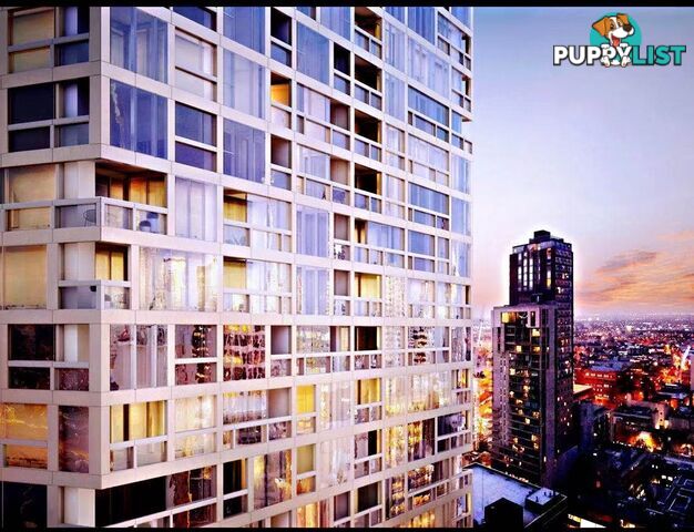 1204/38 Rose Lane MELBOURNE VIC 3000