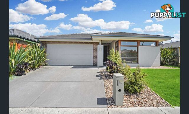 98 Wallaroo Way DOREEN VIC 3754