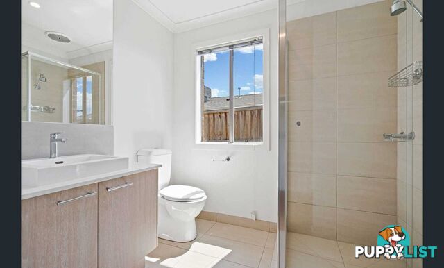 98 Wallaroo Way DOREEN VIC 3754