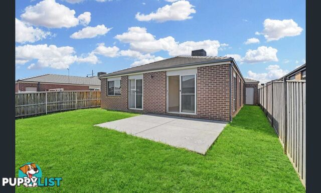 98 Wallaroo Way DOREEN VIC 3754