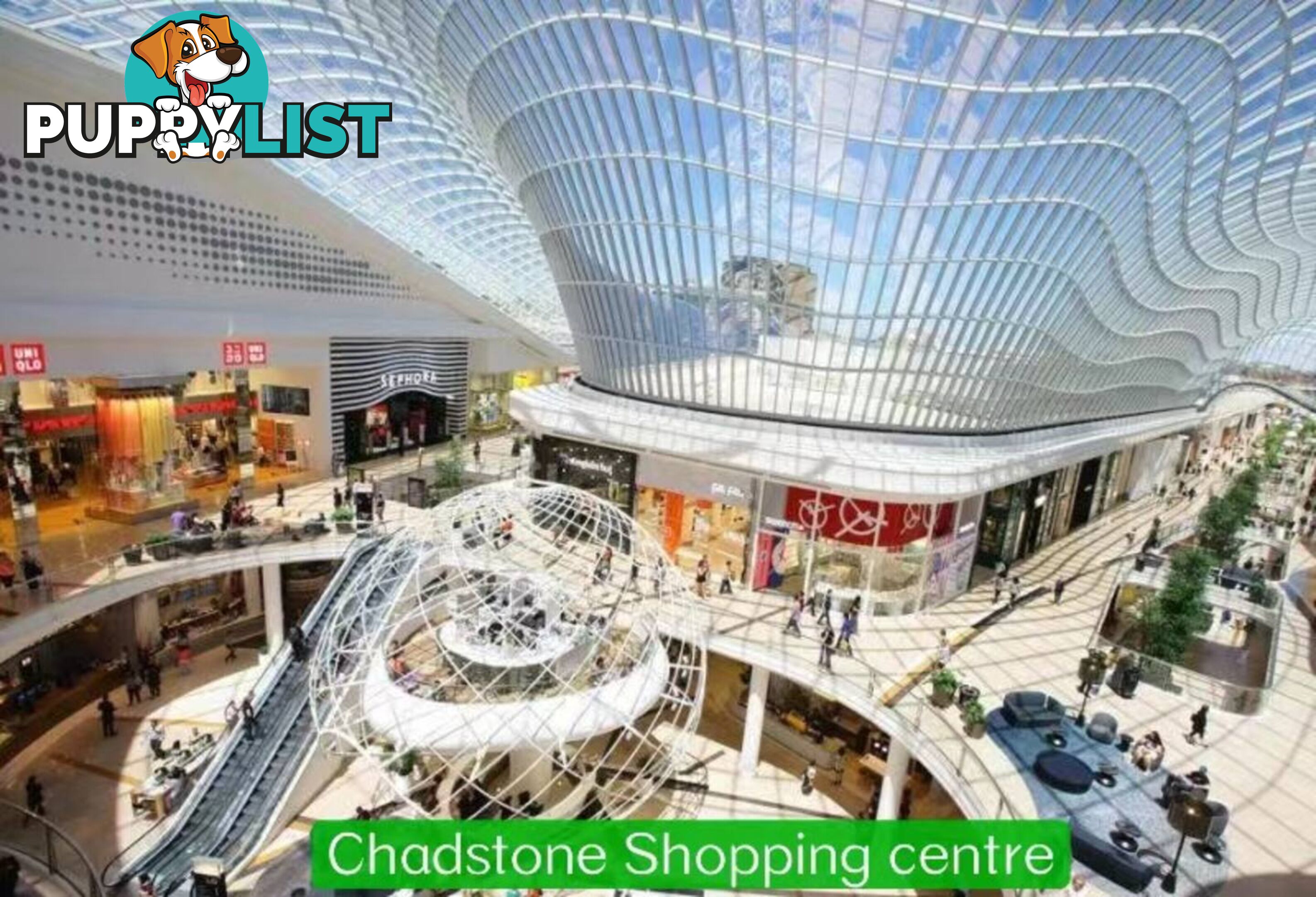 2/5 Tandara Court CHADSTONE VIC 3148